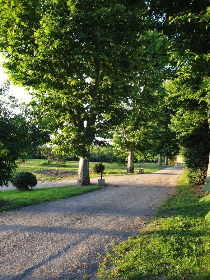 Domaine Des Jammetous - Hotel And Yoga Retreat Center La Magdelaine-Sur-Tarn Екстер'єр фото